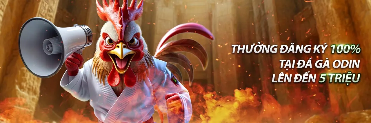 Cá Cược Thể Thao Trực Tuyến new88