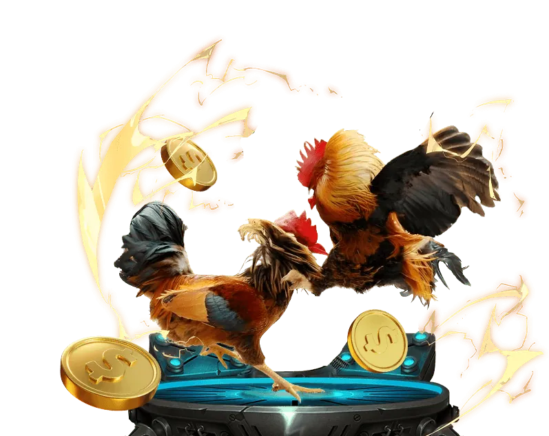 Đá gà trực tuyến tại sàn đấu New88